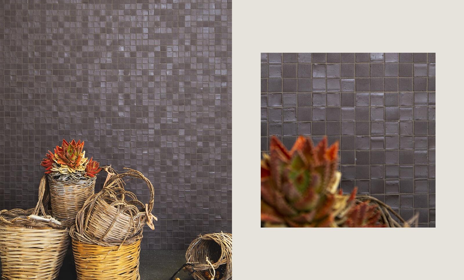 Micro 30 - Mosaicomicro